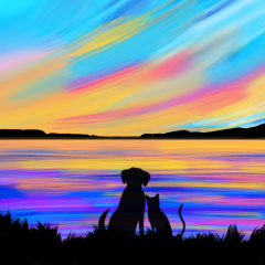 Cat and Dog at Sunset
