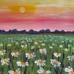 Field of Daisies