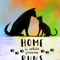 Home Is Where Someone Runs To Greet You