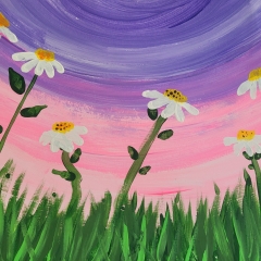 Daisy Sunrise